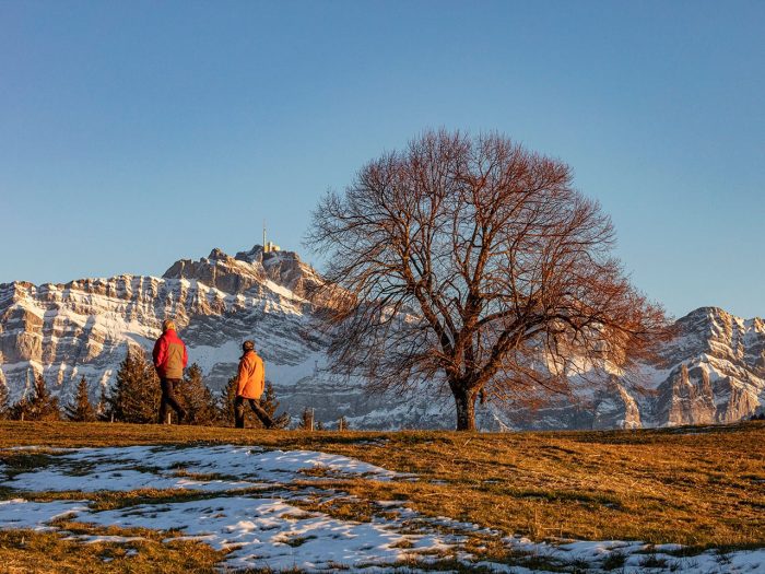 Winterwandern im hügeligen Appenzellerland
