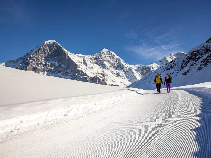 Winterwandern bei Eiger, Mönch und Jungfrau